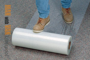 carpet-protector