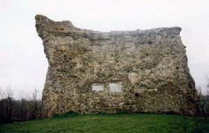 Clare-Castle